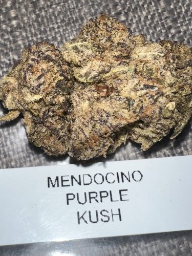 Recenzja zdjęć Mendocino Purple Kush