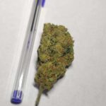 Moonshine Haze photo review